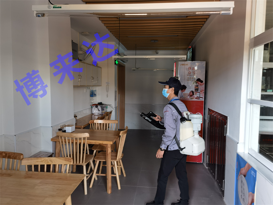 深圳消殺公司妙招：家庭滅蟑常識與技巧